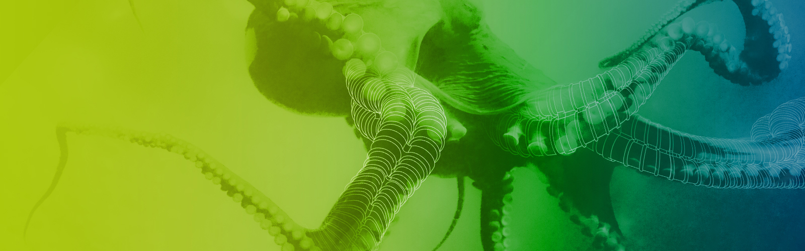 Soft Material Robotic Systems (SPP2100) > match (Institute of Assembly Technology and Robotics)